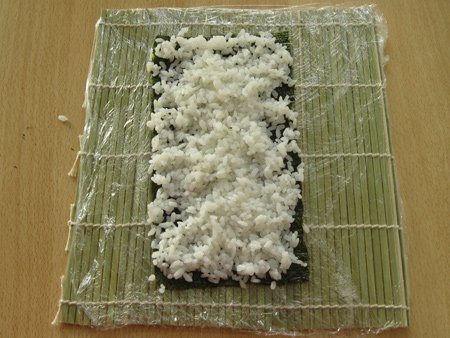 rice3_opt